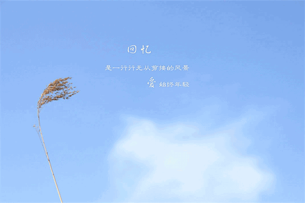 芙蓉镇观后感