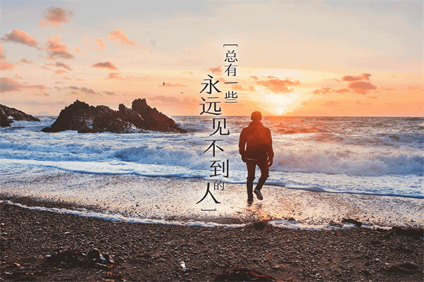 简贞：浮尘野马