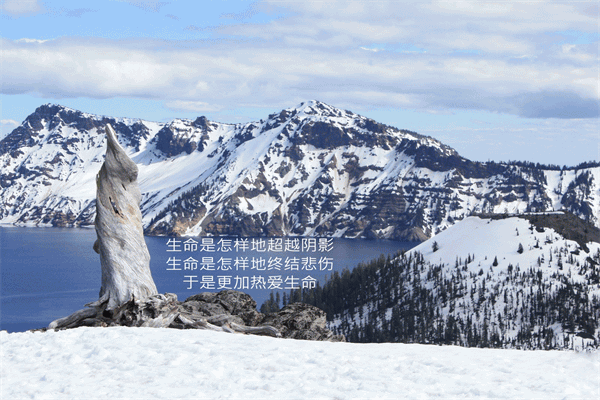 史铁生绵绵的秋雨